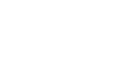 Logo Traumina