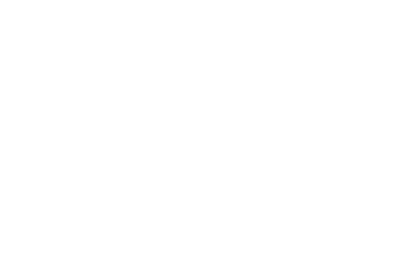 Stiegelmeyer Logo - Hersteller Seniorenbetten